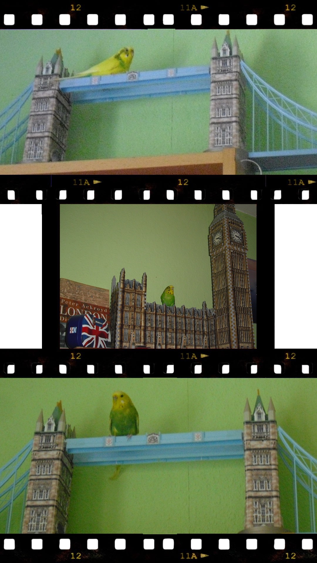 Von wegen 'London Calling' – hier zwitschert die London Deko!