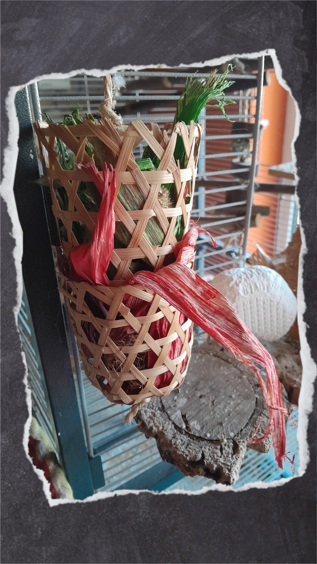 Nachdem die Farbe getrocknet ist, schneidet ihr ein kleines Loch unten in die Papierförmchen. Fädelt dann abwechselnd die Muffinförmchen und zwei Kugeln auf eine Kordel. Im Bild seht ihr eine Variante, die ihr im Zoohandel kaufen könnt.