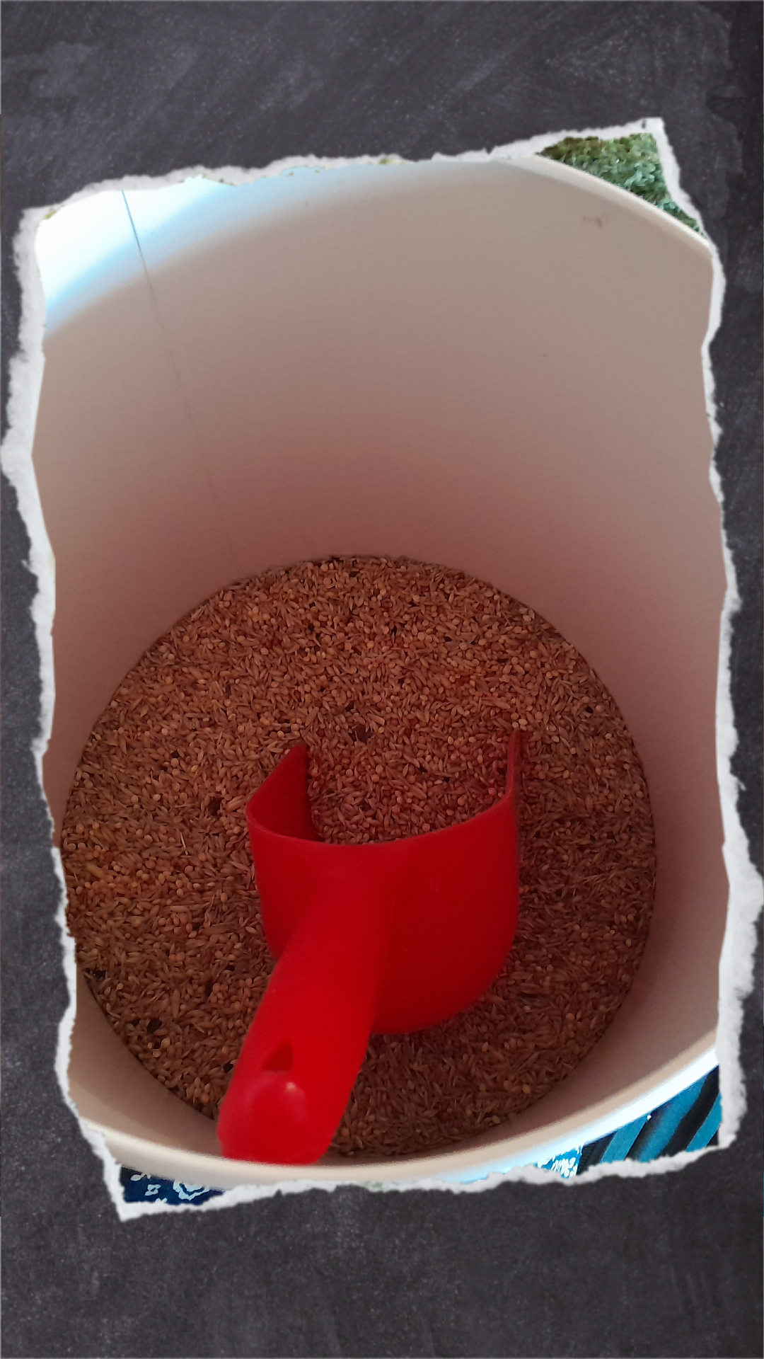 Schützt vor Motten und hält Futter frisch: Metalldose oder Tupperware.