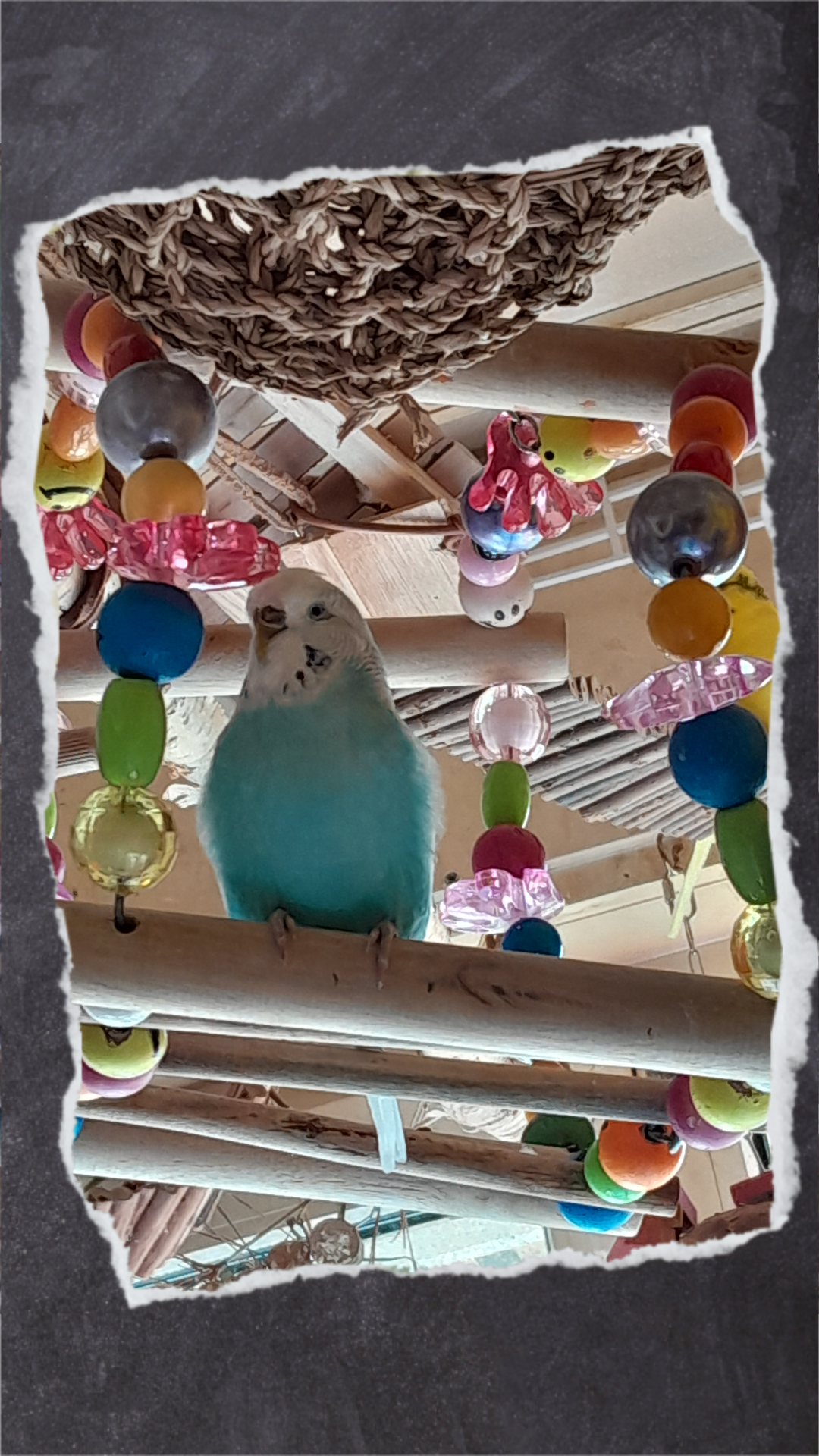 Im Handel gibt es viele schöne Modelle wie diesen runden Freisitz mit Holzperlen.