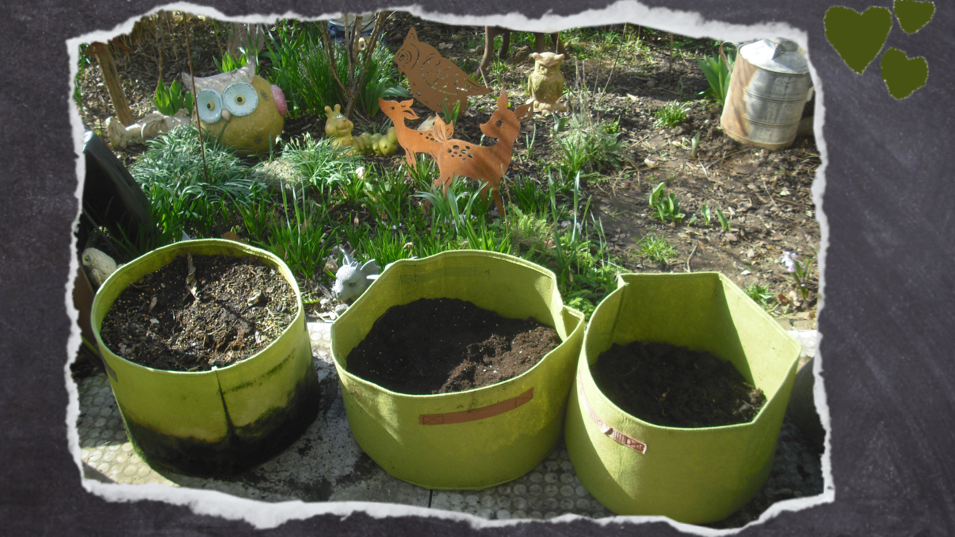 Habt ihr die Möglichkeit, Gemüse und Kräuter aus dem eigenen Garten zu verfüttern, ist das ein besonderes Plus. So stellt ihr sicher, dass die Pflanzen keine Pestizid-Rückstände enthalten.