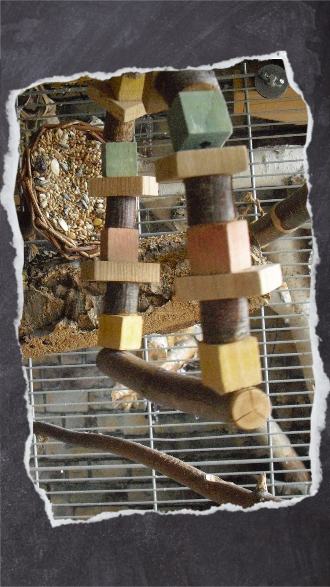 Sitzplätze mit Holzklötzchen bieten auch Beschäftigung.