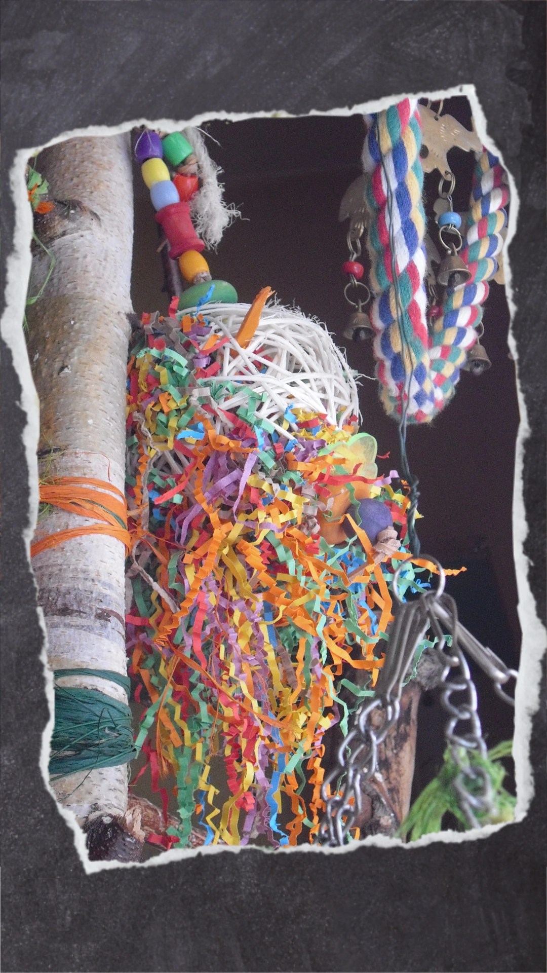 Beliebt sind auch diese Konfetti-Spielzeuge. Die müsst ihr auch nicht unbedingt kaufen. Konfetti-Papierfäden gibt es als Zubehör online. Ich nehme die immer als Füllmaterial für Futterspielzeug.