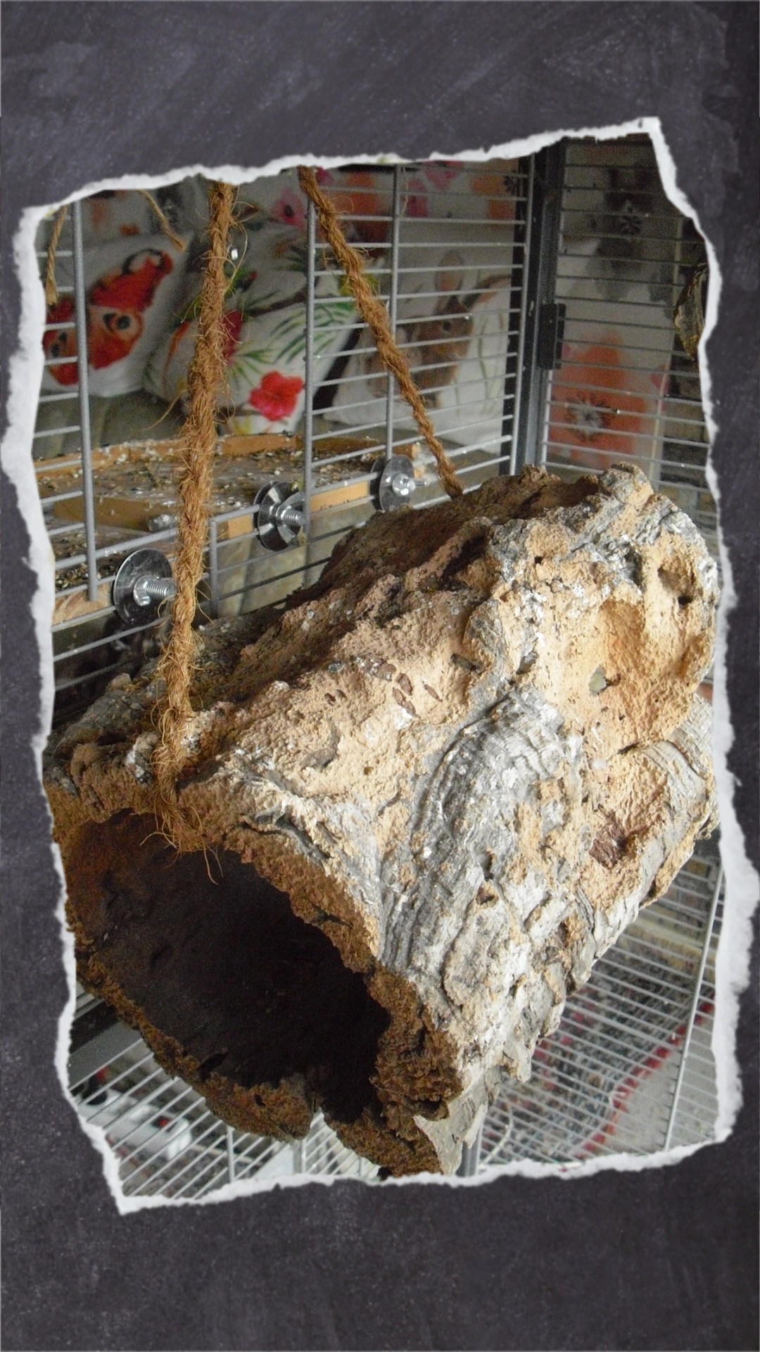 Kleinere Korkröhren lassen sich in den Vogelkäfig oder die Voliere hängen. Der Vorteil: Das fein geschredderte Korkmehl landet im Käfig und nicht auf dem Teppichboden.
