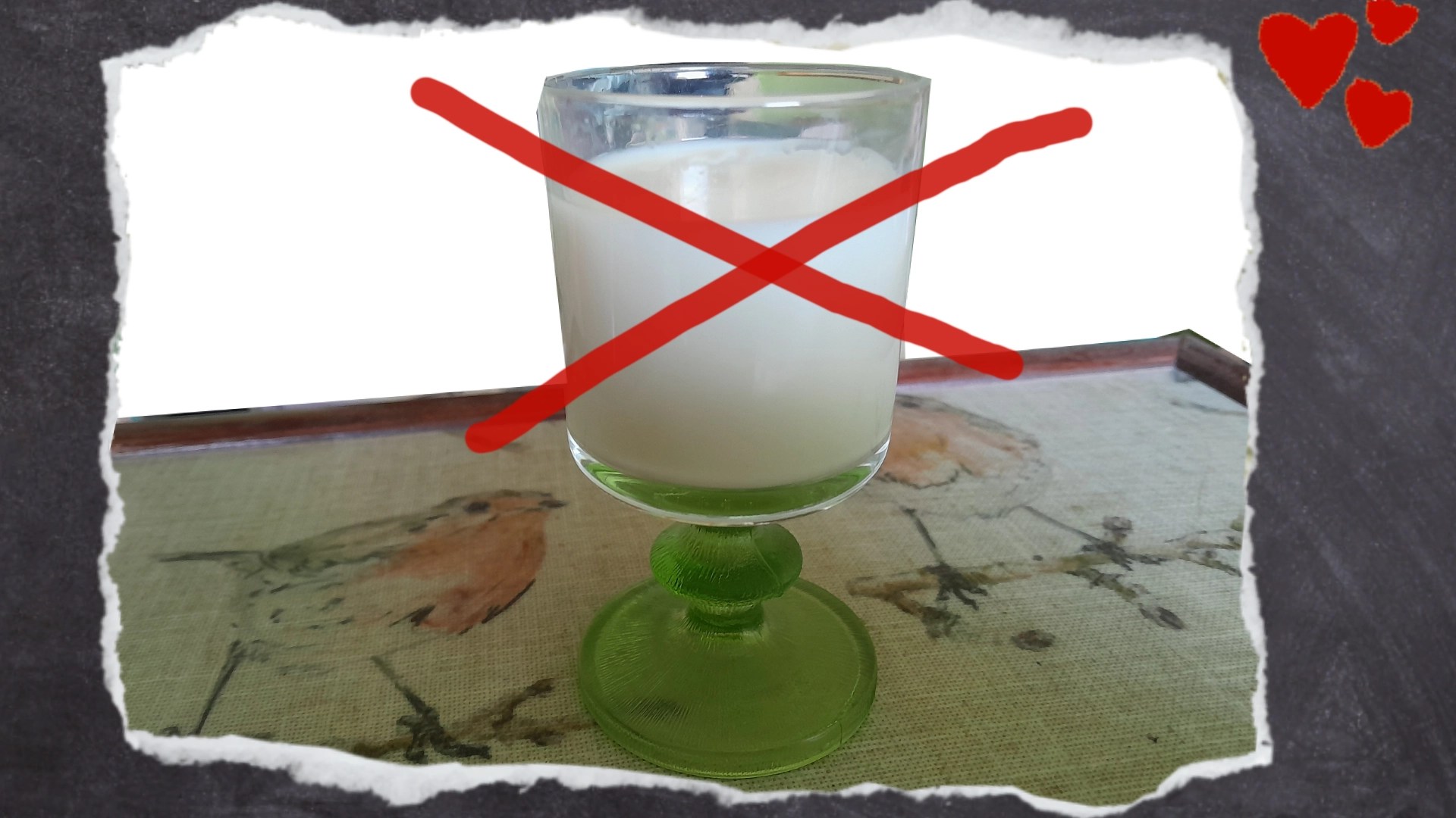 Milchspeisen vertragen Vögel nicht wegen der Laktose. Das führt bei den Vögeln zu Durchfall.