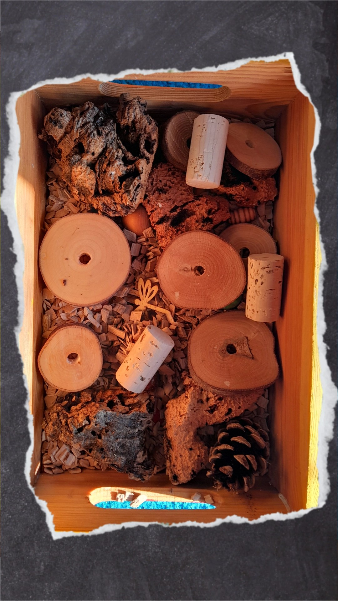 Naturmaterialien wie Holz, Tannenzapfen und Kork lieben die Wellis zum Schreddern!