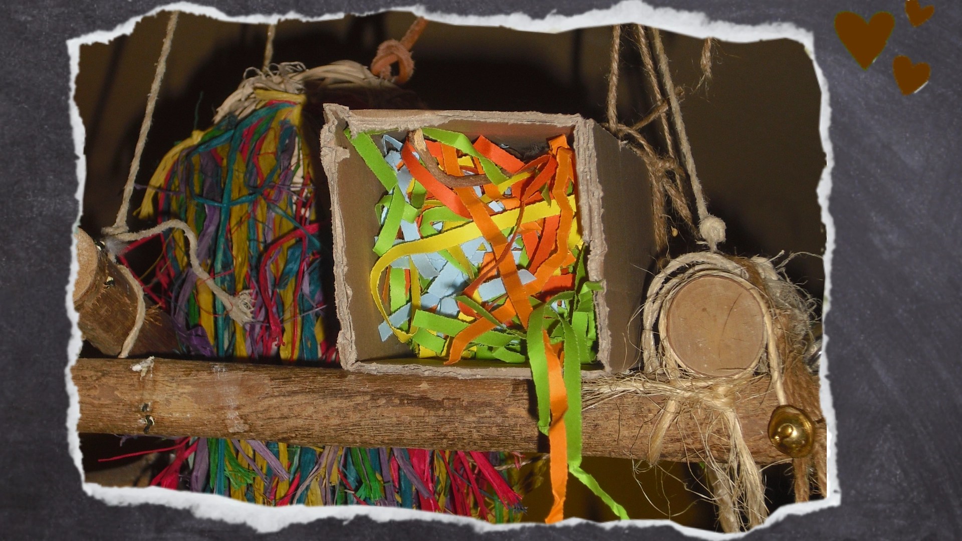 Das bunte Konfetti-Papier gibt es bei vielen Zoo-Onlineshops speziell für Vögel.