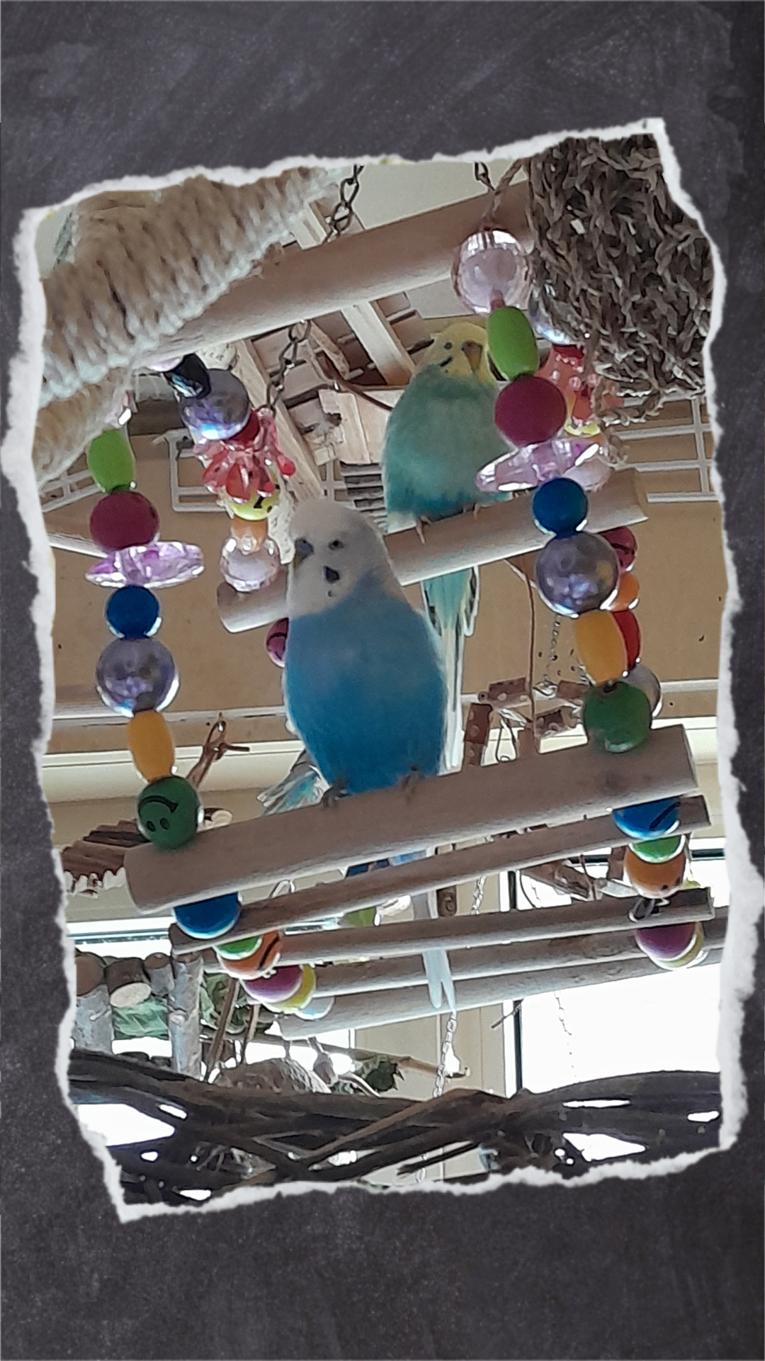Schaukelrad mit bunten Holzperlen und Objekten aus Hartplastik.