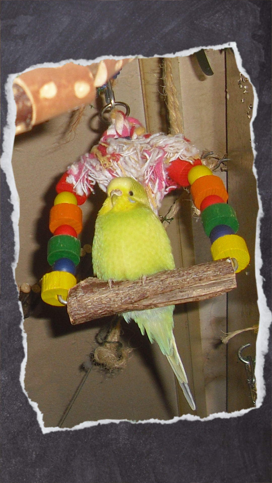 Wer die kleinen Schaukeln selbst basteln will, benötigt lediglich Draht, um die Holzelemente aufzureihen und die Sitzstangen festzumachen.