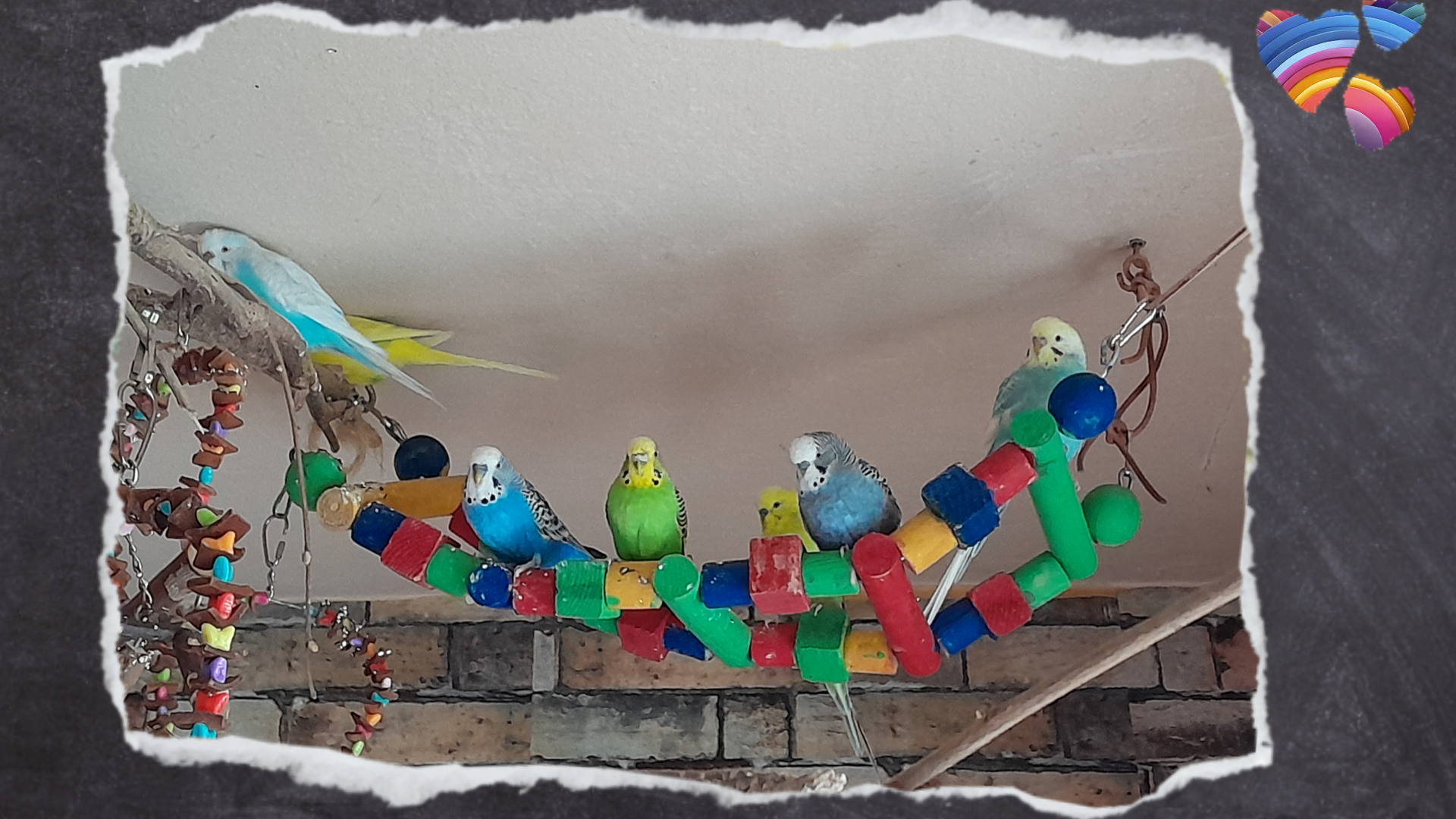 Bunte Leitern bieten Spielzeug und Sitzplatz in einem.