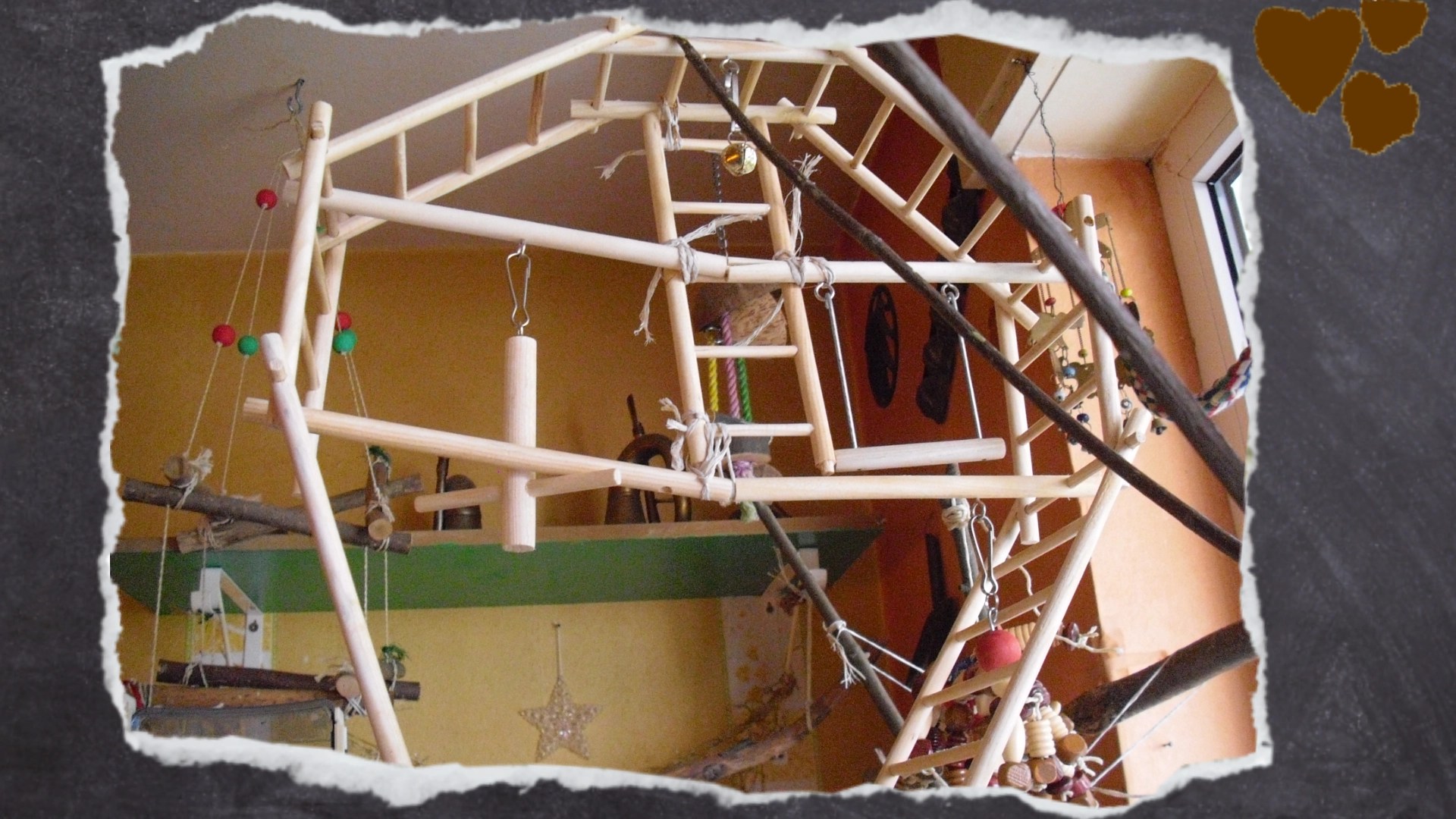 Ein gewöhnlicher Wellensittich-Spielplatz aus dünnem Pressholz.