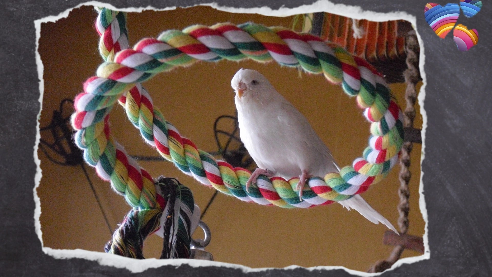 Nina ganz unten auf der Spirale startet den Aufstieg.