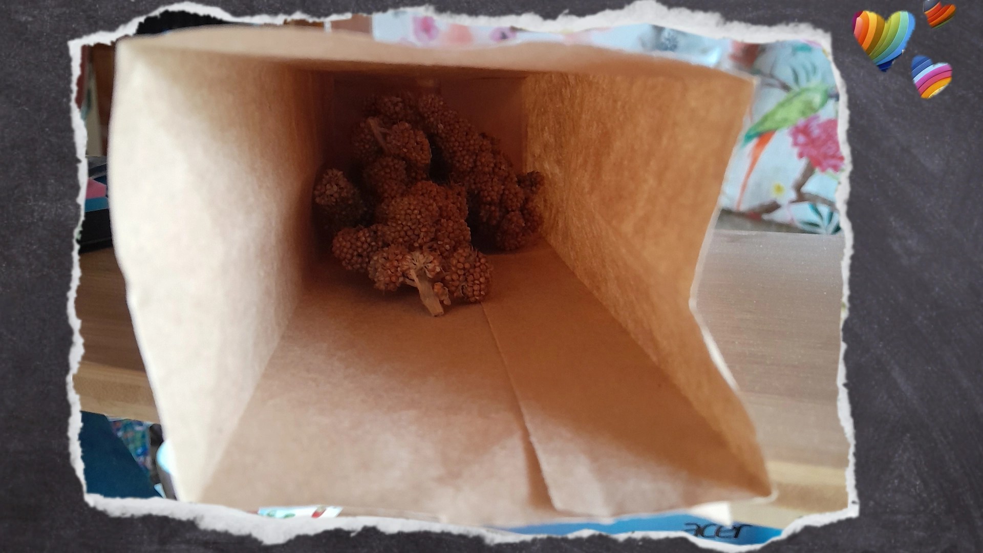 Einfach unten in den Becher oder die Tüte Kolbenhirsestückchen verteilen. Ihr könnt aber auch Körnerfutter oder getrocknetes Obst verwenden. Verwendet einfach das Futter, das eure Vögel am liebsten mögen.
