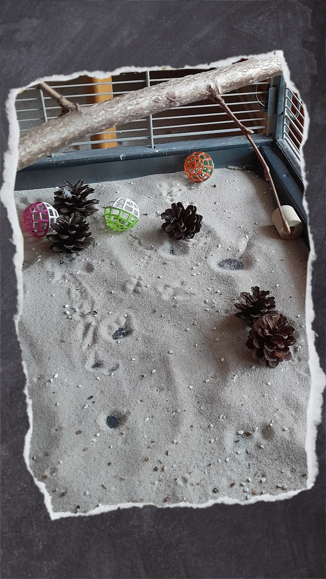 Besonders wenn die Vögel viel im Käfig sind ist das ein schöner Abenteuerspielplatz.