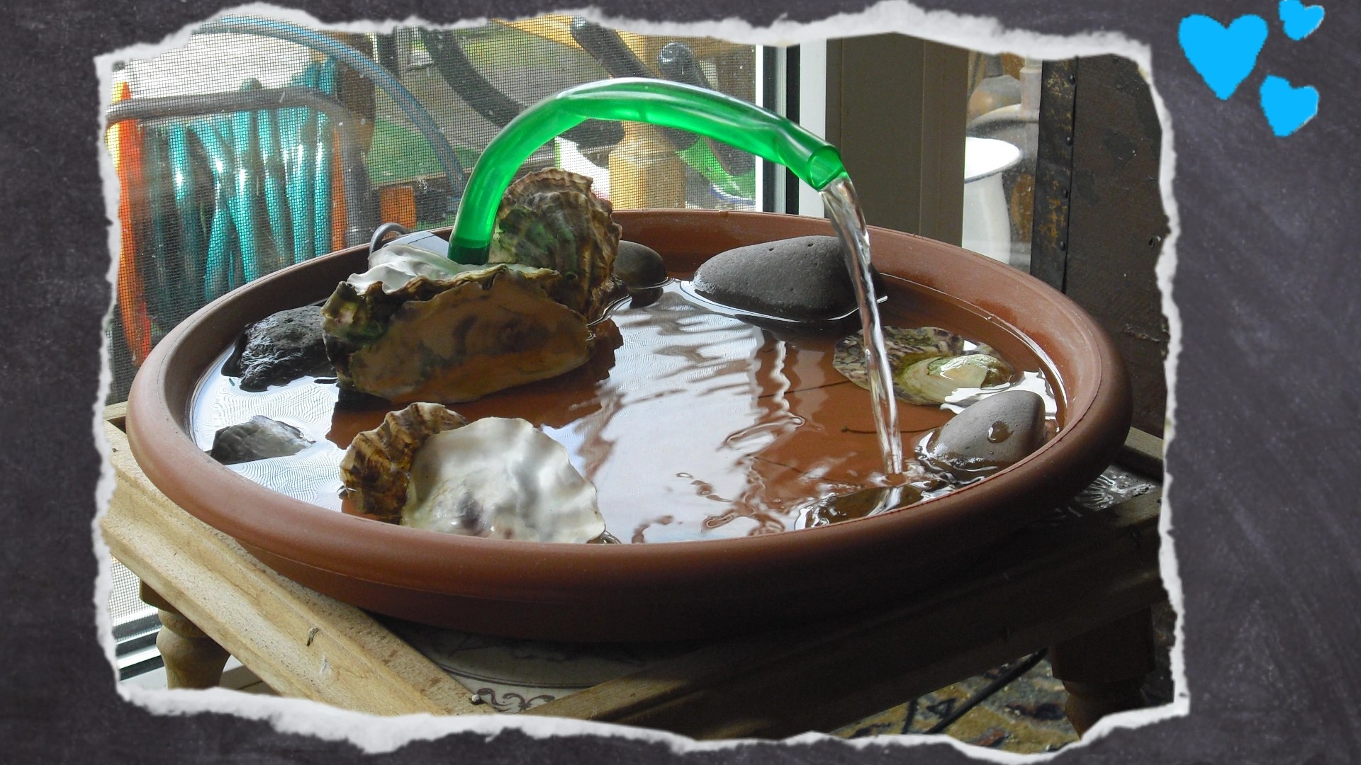 Muscheln und kleine Steine laden zum Knabbern ein und verhindern, dass die kleinen Kobolde das Stromkabel durchbeißen.