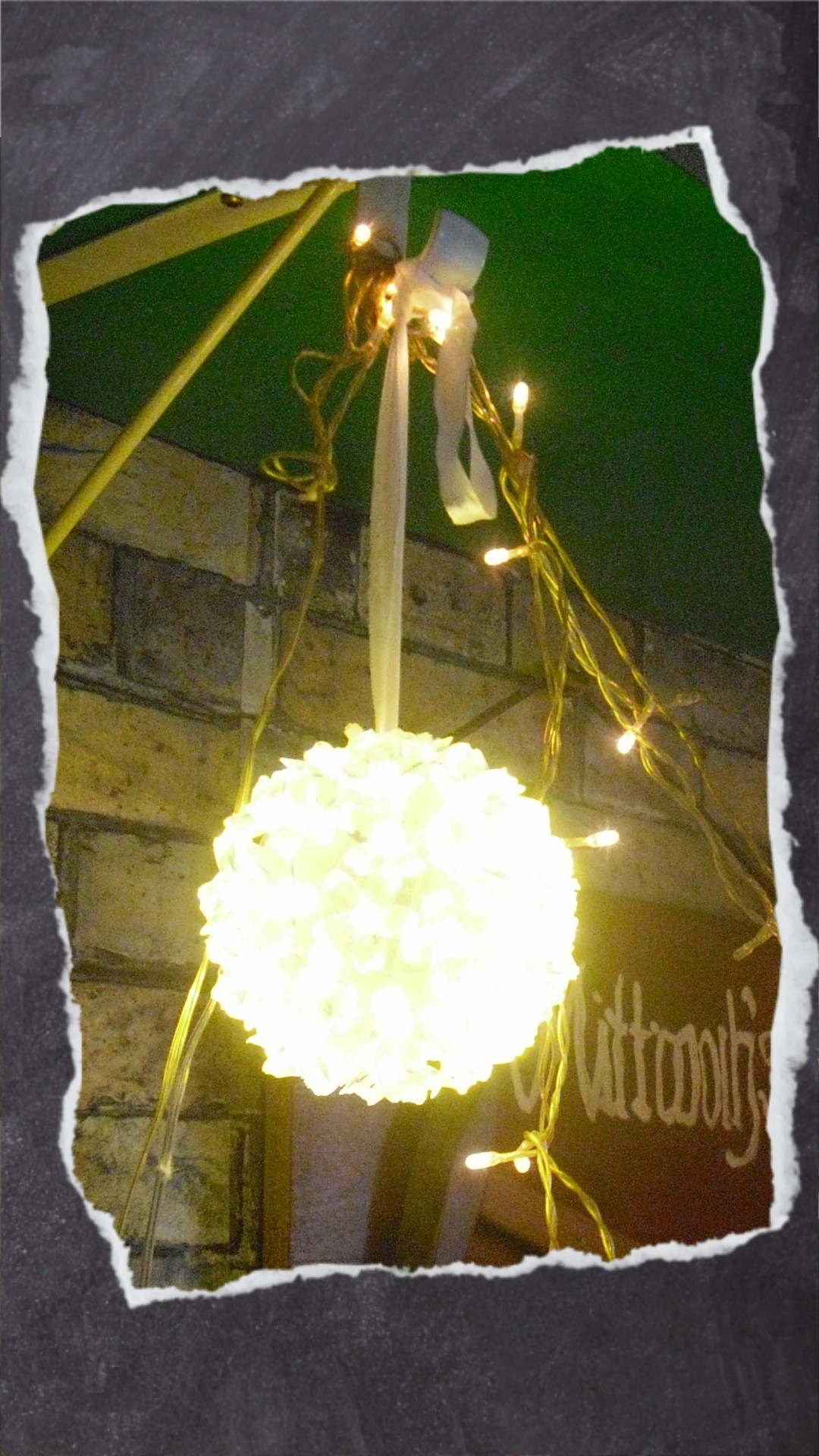 Für Wellensittiche kann diese kleine Leuchtkugel wie eine Discokugel wirken. Ihr würdet doch auch nicht gern den ganzen Tag im Discolicht verbringen wollen?