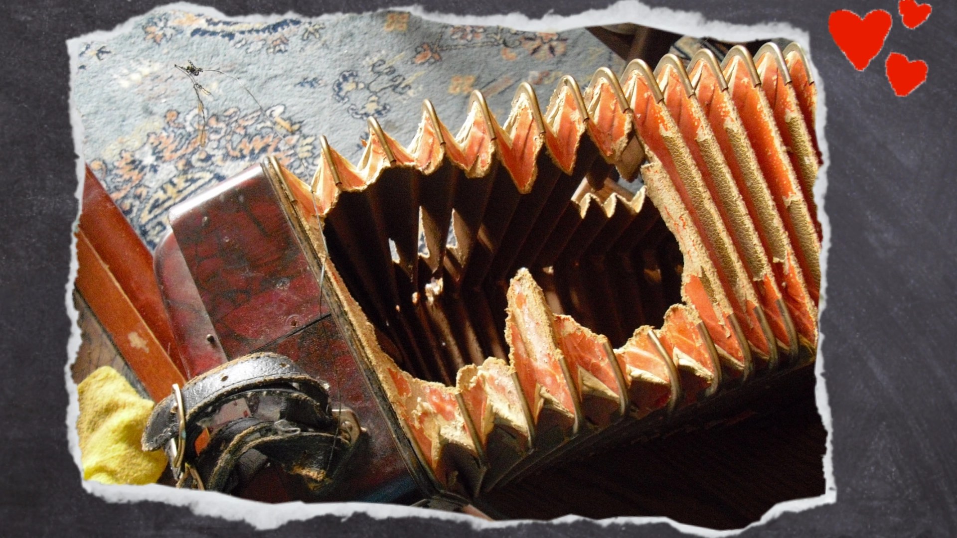 Ein Blick in den Abgrund... Aus diesem Instrument kommt nie wieder ein Ton, aber dafür hatten alle beteiligten Vögel den Spaß ihres Lebens.