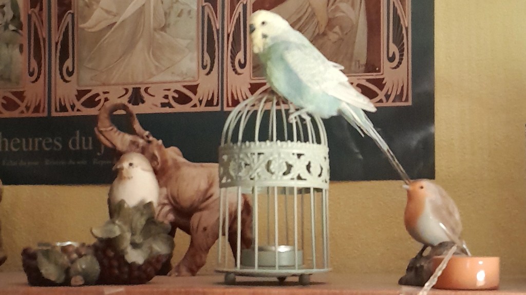 Krümmel sitzt auf Teelichthalter