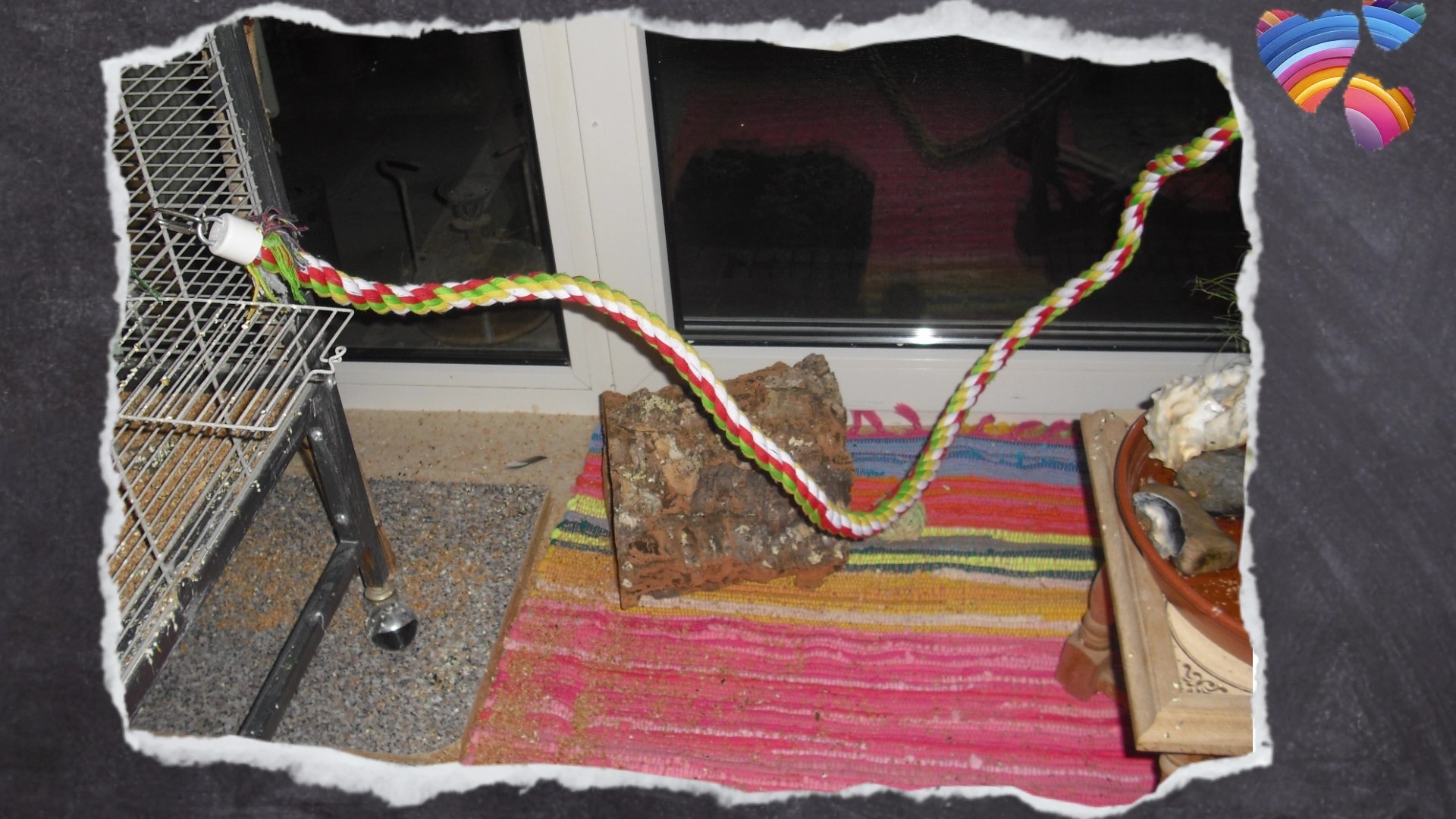 Langes Baumwollseil als Kletterhilfe für Senioren-Wellis