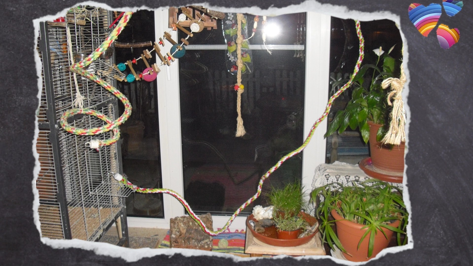 Kletterhilfen für Wellensittiche