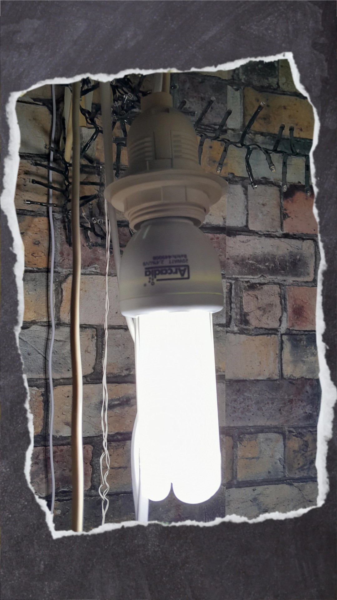 Angeschaltete Bird Lamp gibt UV-Licht ab