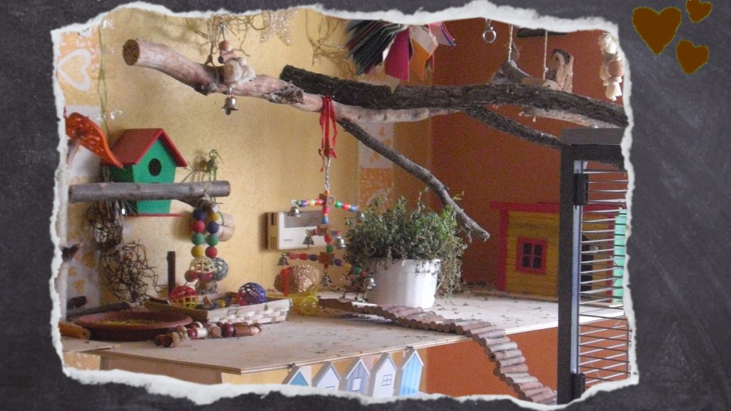 Naturäste und Holzbrücken schaffen eine Verbindung zwischen Holzbrett & Voliere