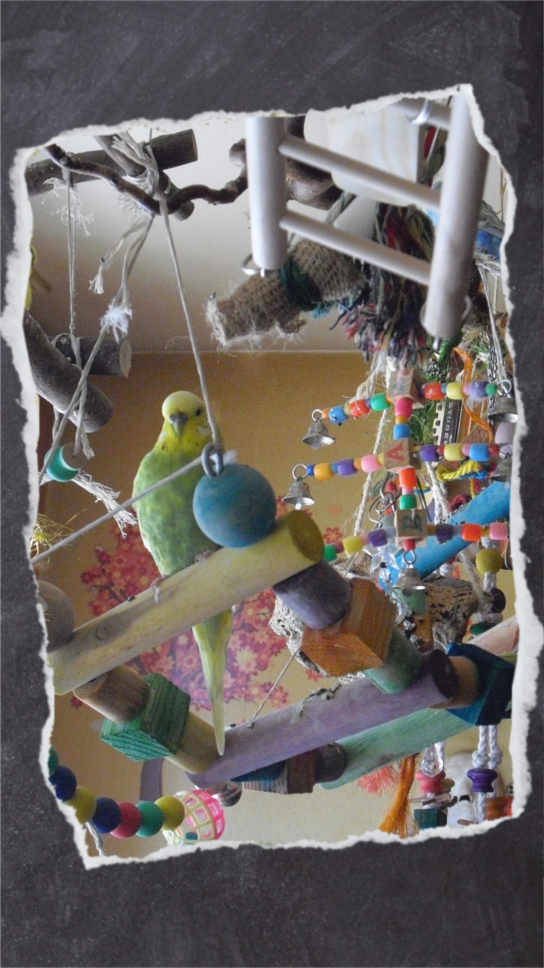 Große bunte Holzleiter mit Holzkugeln und breiten Sitzstangen