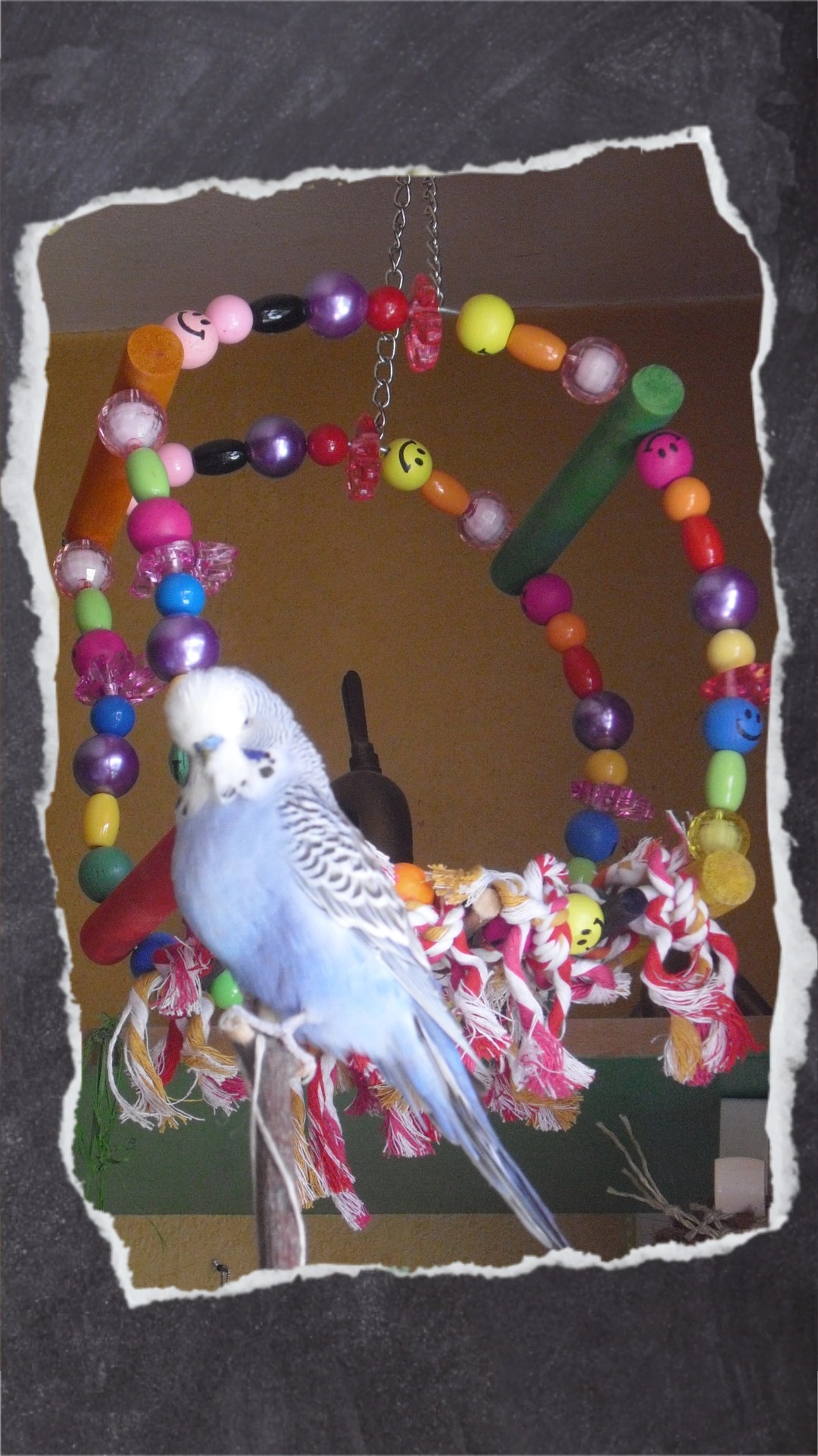 Tommy sitzt vor dem großen Schaukelrad