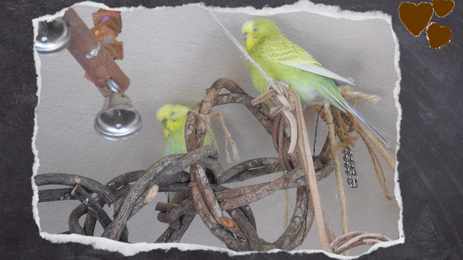 Dösen auf Weidenringen