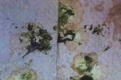 Echter Durchfall lässt sich nicht leicht erkennen da auch Frischkost den Kot flüssiger macht