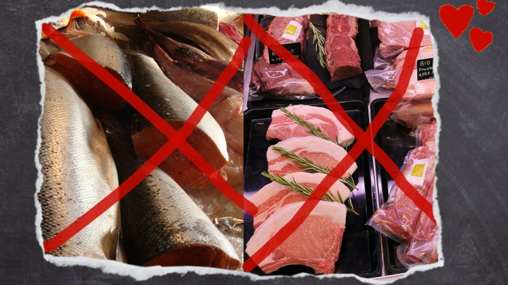 Wellensittiche sollten weder Fisch noch Fleisch fressen