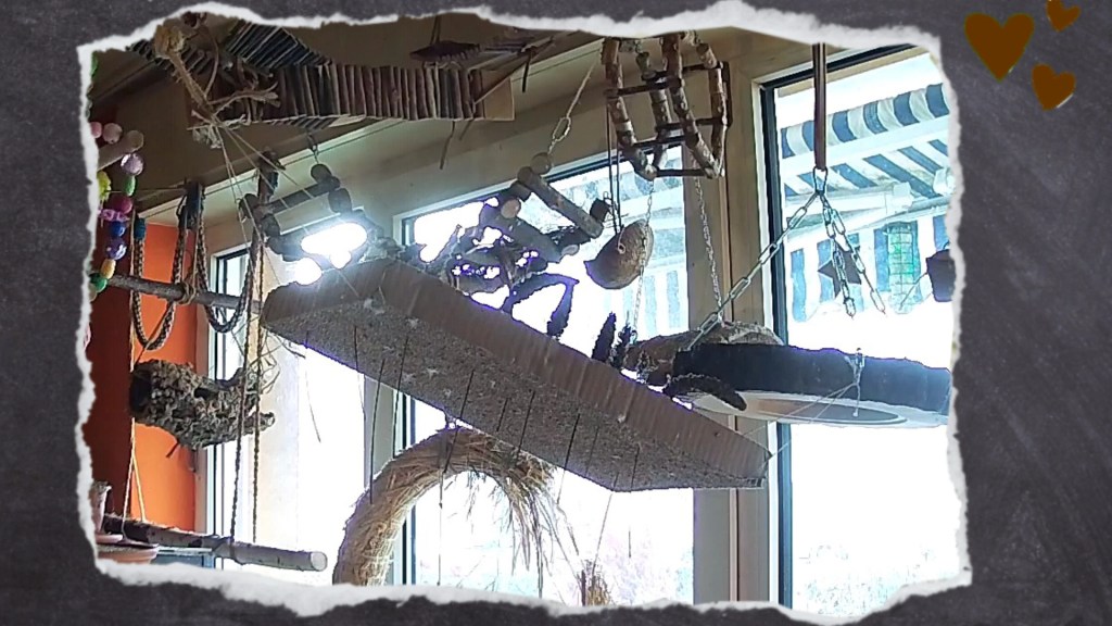 Pappbrett mit Kolbenhirse