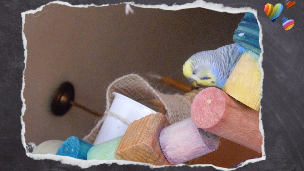 Selbst gebasteltes Forgaing Spielzeug