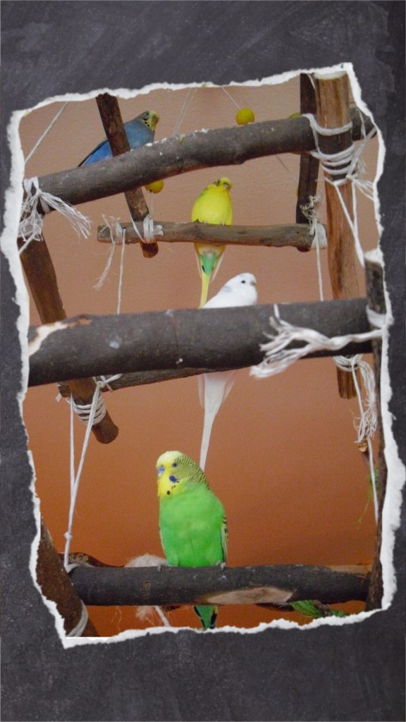 Nahaufnahme der verschiedenen Etagen des Holzgerüsts