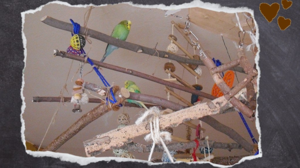 Einfaches Holzgerüst mit drei Naturästen