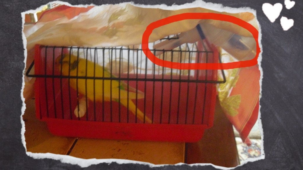 Rot markiert seht ihr das Mundstück zum Inhalieren