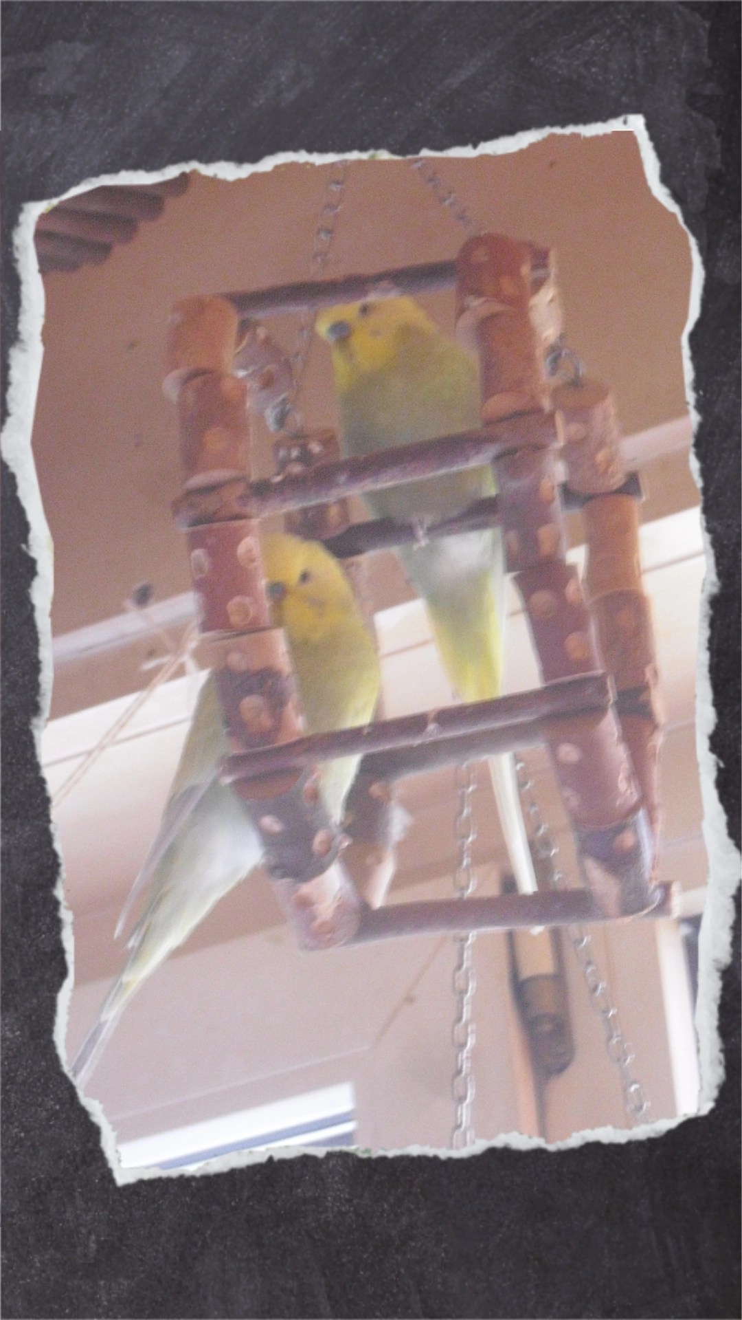 Kirby und Joshi sitzen selbst in den kleinen Schaukelrädern zusammen