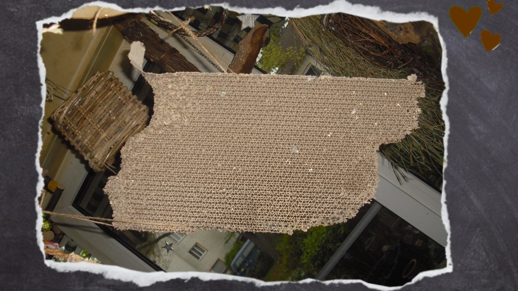 Die Katzenpappe eignet sich als Schredderspielzeug für Wellis