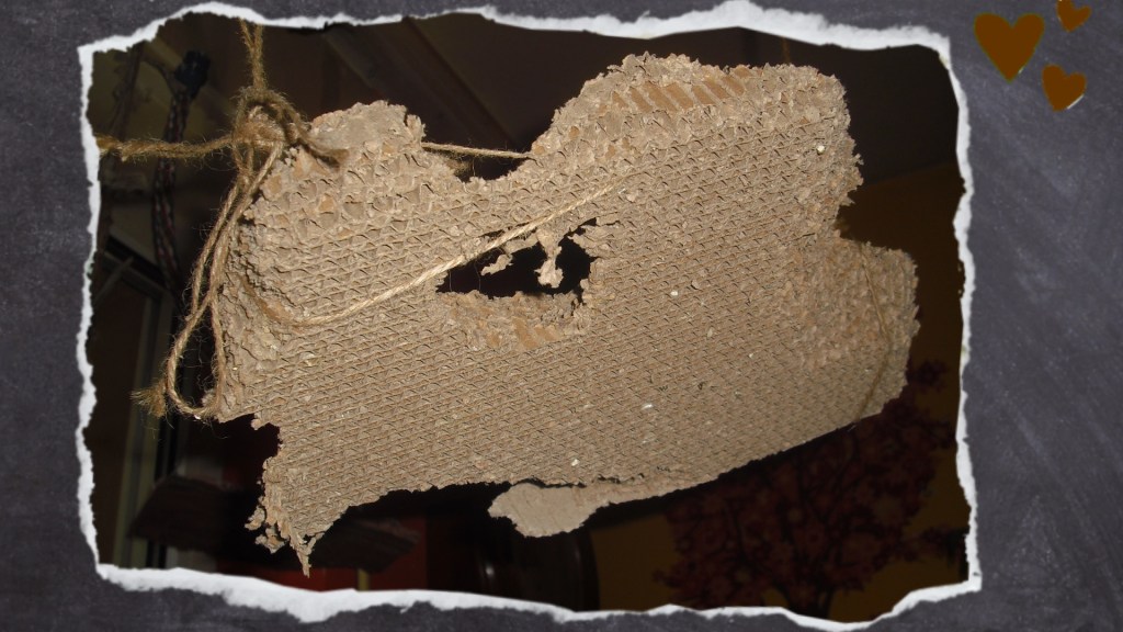 Katzenpappe mit großem Loch