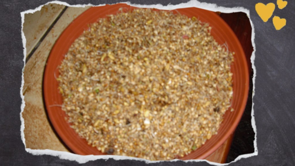 Futter keimt langsam