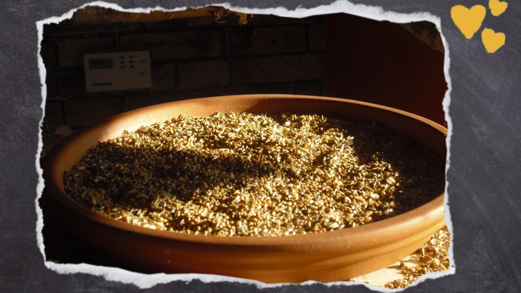 Körnerfutter im Keramiknapf