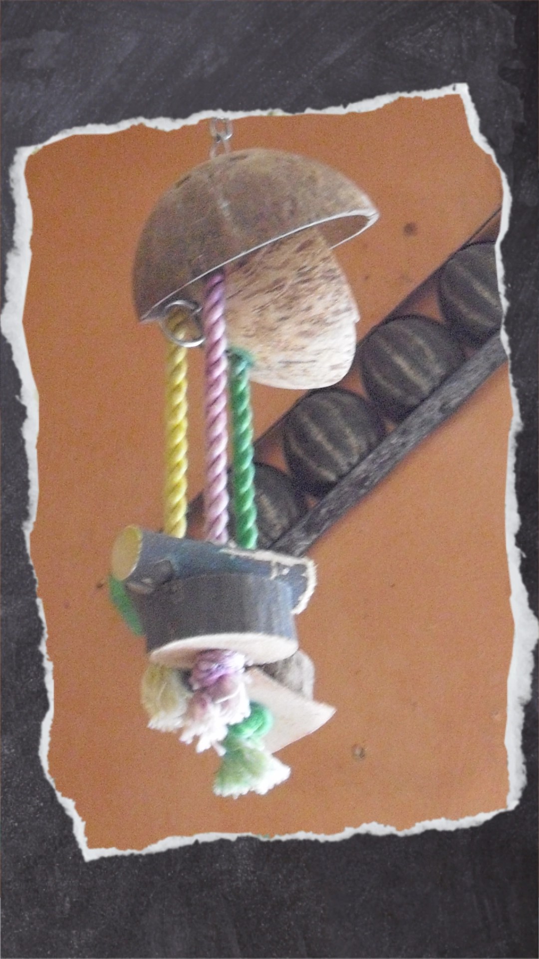 Kokosnuss-Spielzeug mit bunten Seilen und Holzklötzen