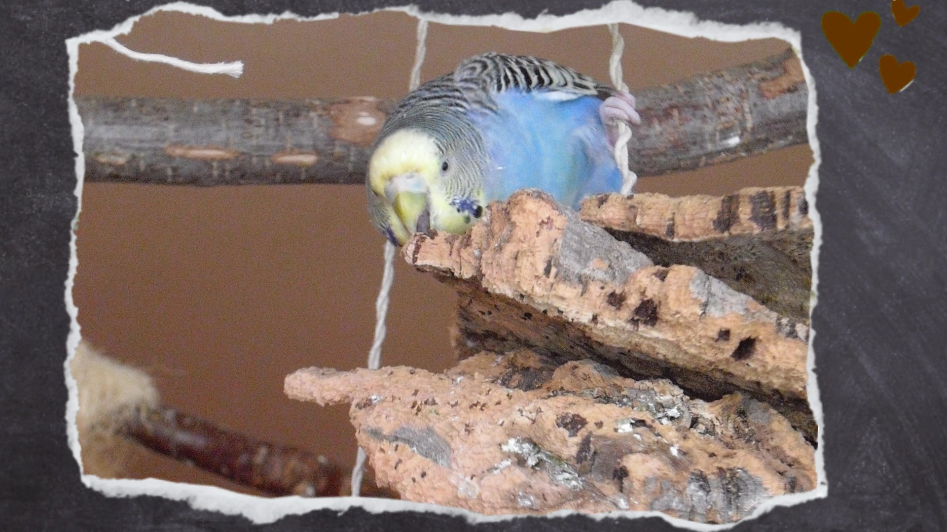 Spielzeug selber basteln aus Kork