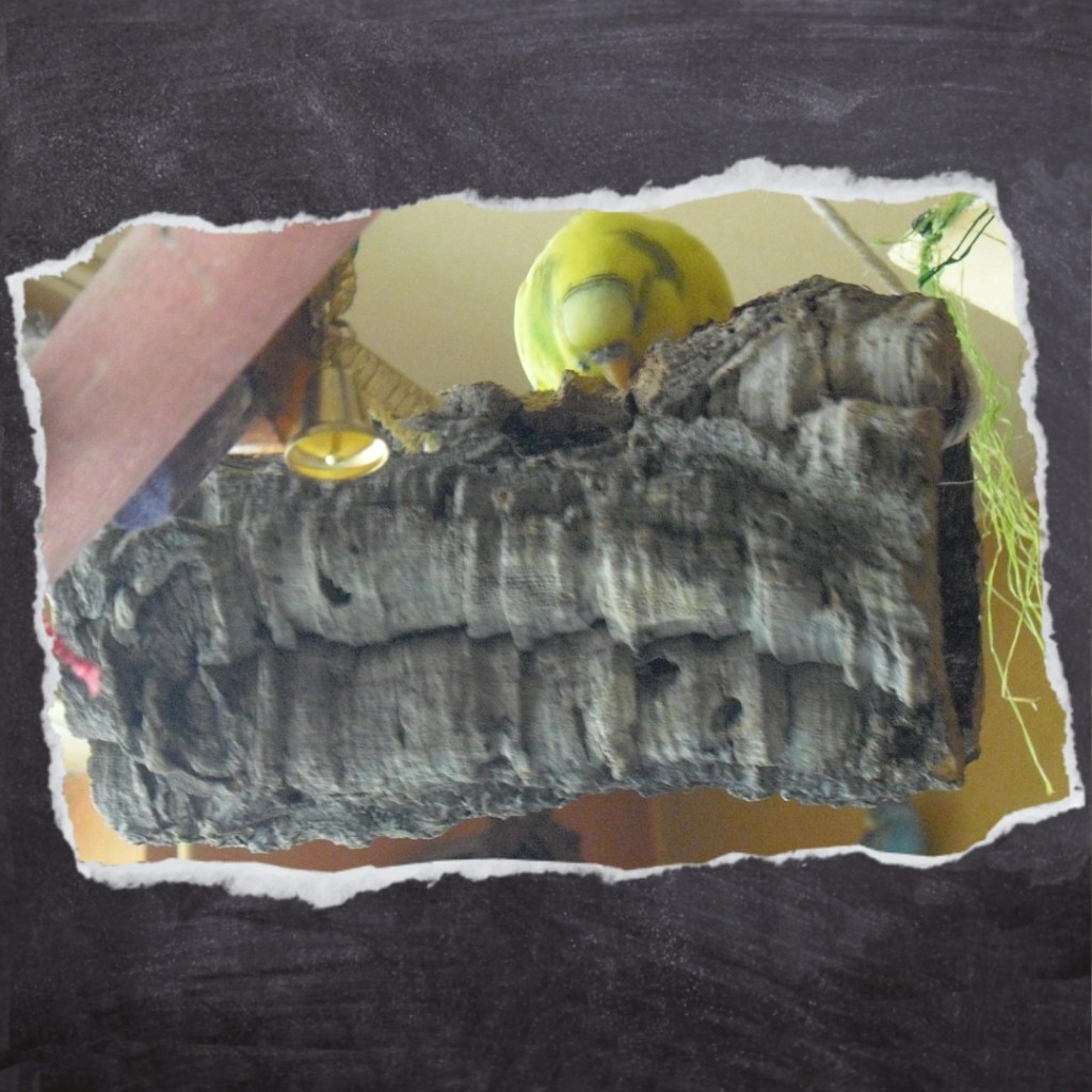 Lieblingsspielzeug Korkröhre