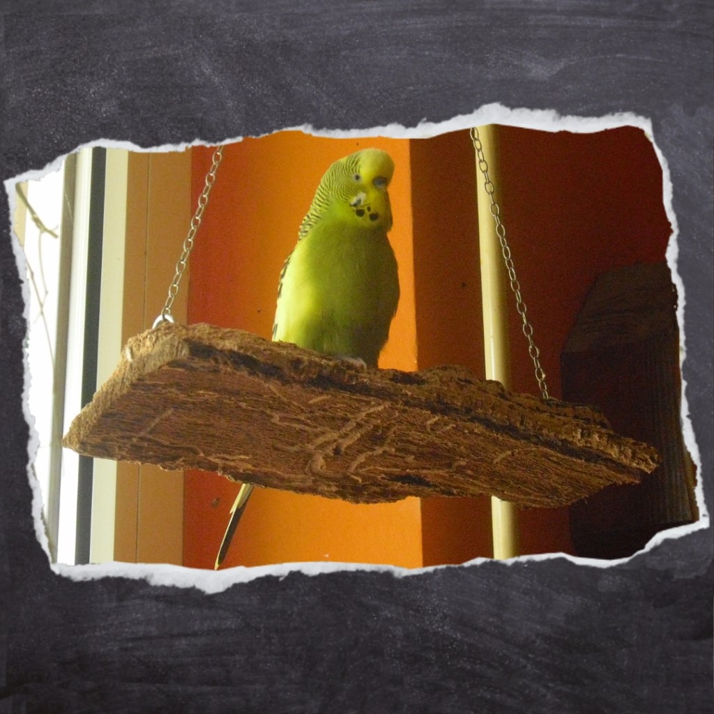 Selbstgebaute Sitzplätze und Schaukeln aus Kork und anderem Naturmaterial