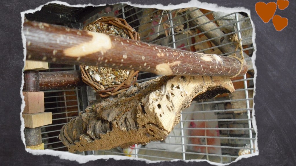 Sitzbrett aus Kork im Vogelkäfig