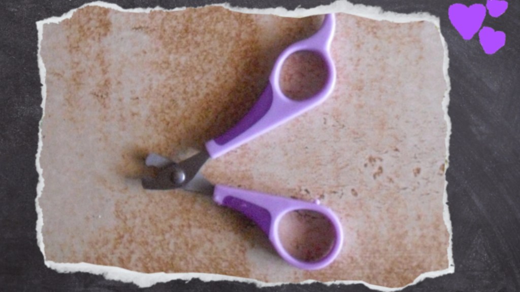 Krallenschere für alle die sich trauen Krallen zu schneiden