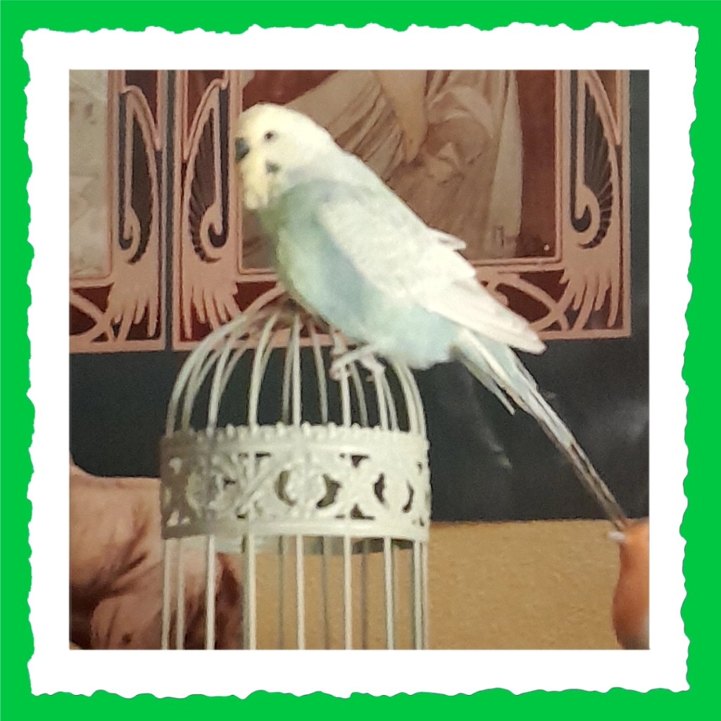 Rainbow-Hahn Krümmel