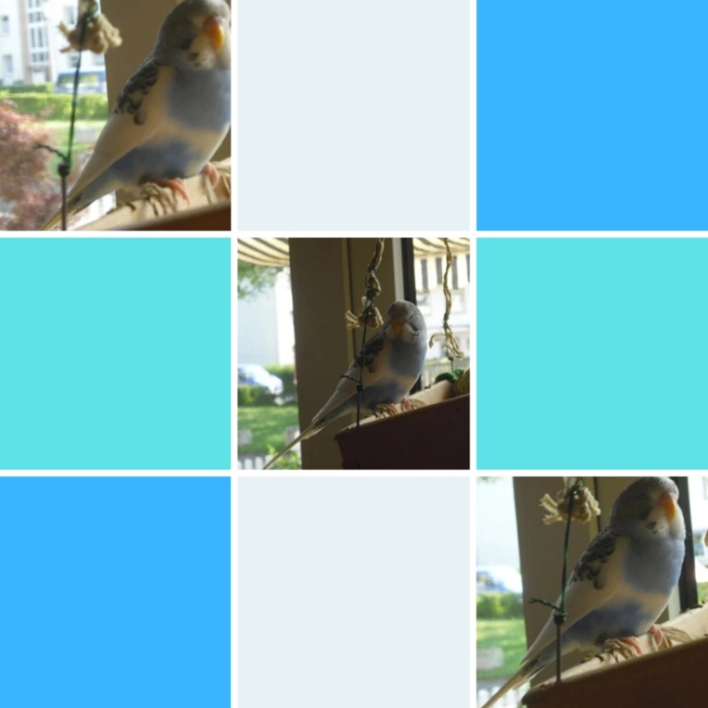 Photo Collage mit Bildern von Welli-Henne Lara