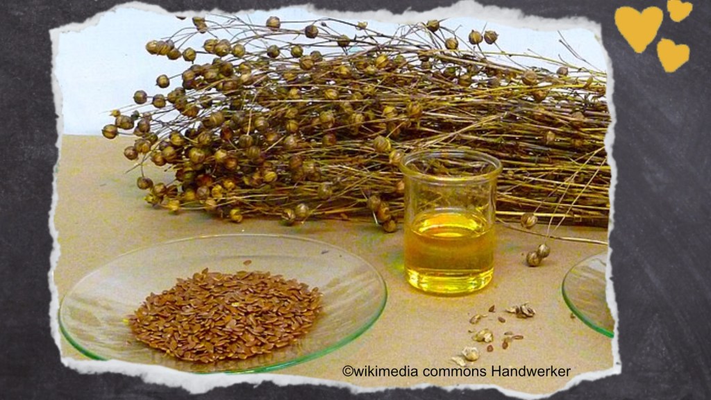 Leinöl Nachtkerzenöl und Weizenkeimöl sind für Wellensittiche geeignet